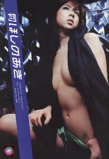 aki hoshino