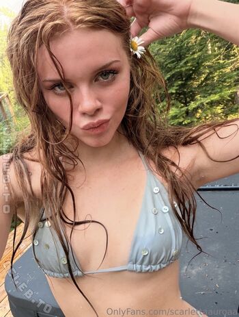 aurorafoxxy