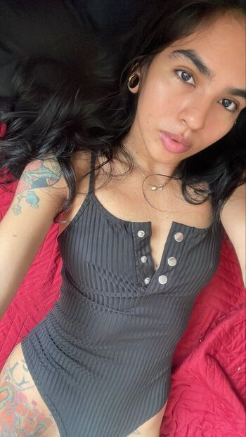 beyli.fox