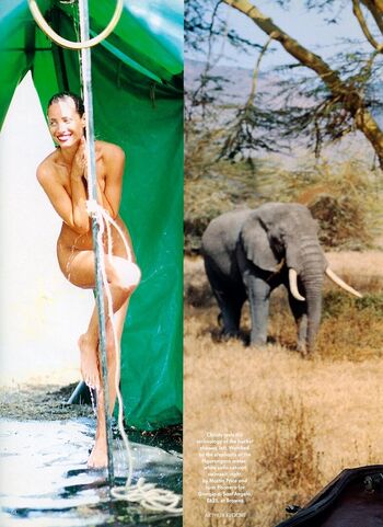 Full leaked Christy turlington private onlyfans photo