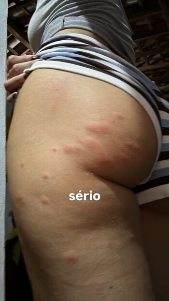Daily De Desconhecidas