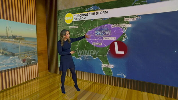 Ginger Zee