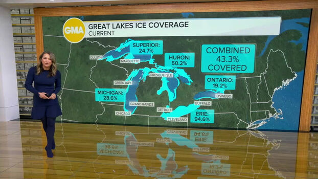 Ginger Zee