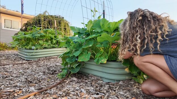 Full leaked Honey trail farm private onlyfans photo