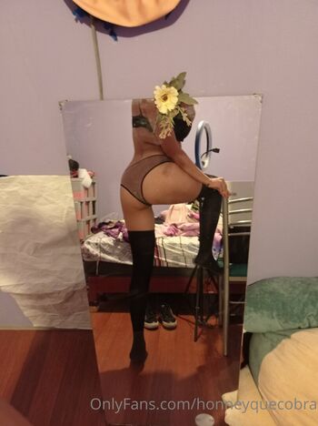 Honneybonita