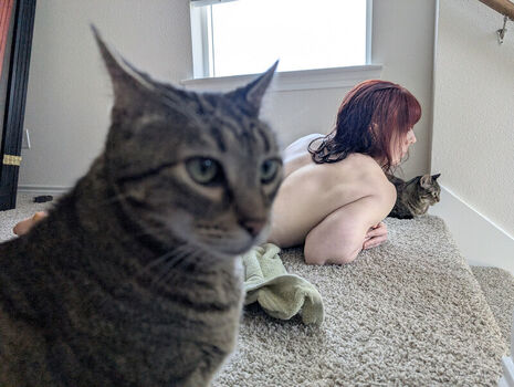 Kittybit