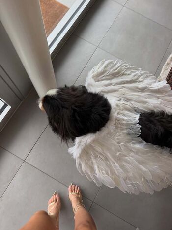 Luna Piombanti