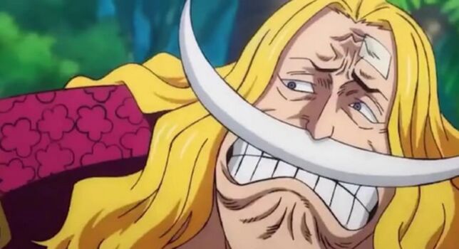 Full leaked Madison moores private onlyfans photo