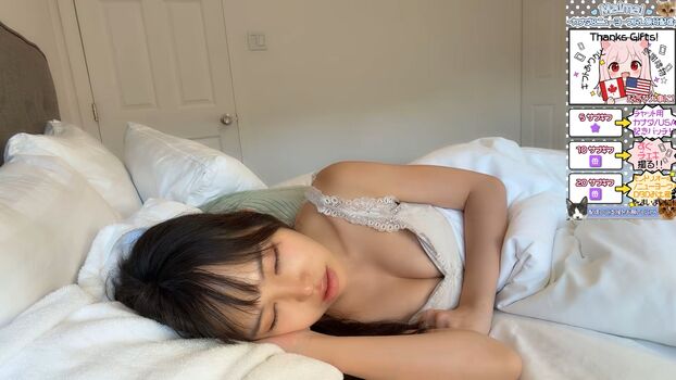 MaiMai まいまい