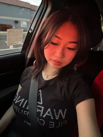 Mei Lee