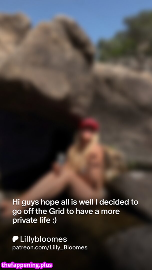 MSFIIIRE