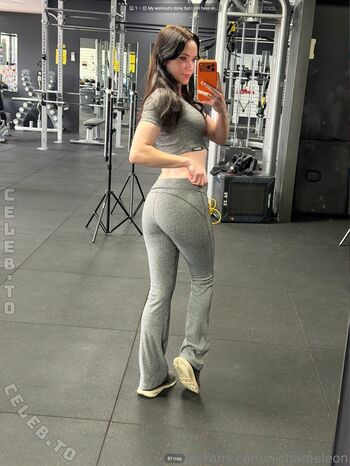 Nichameleon