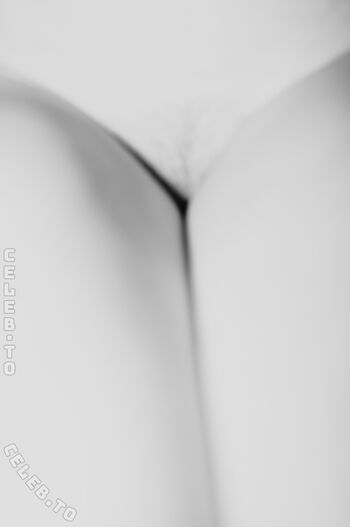 omletik007