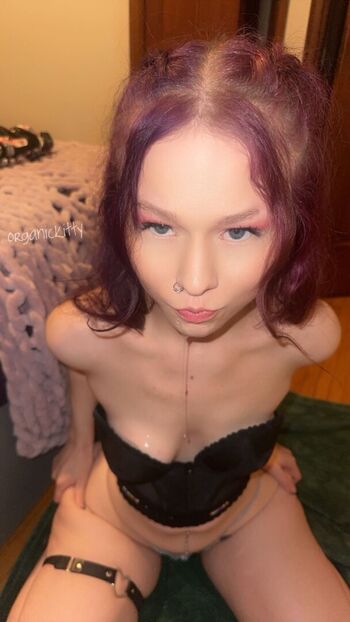 organickitty