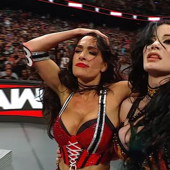 The Bella Twins