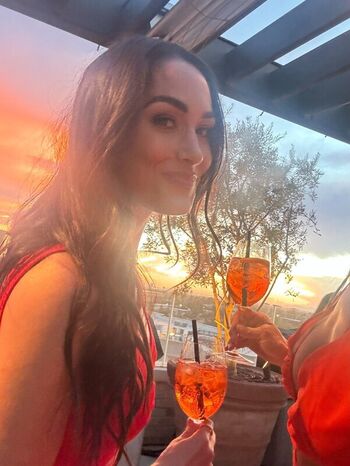 Full leaked The bella twins private onlyfans photo