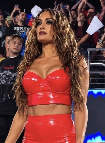 Full leaked The bella twins private onlyfans photo