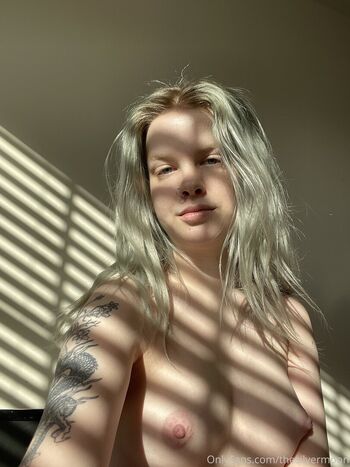 Thesilvermoon