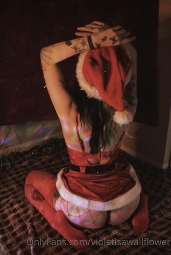 Full leaked Violetisawallflower private onlyfans photo