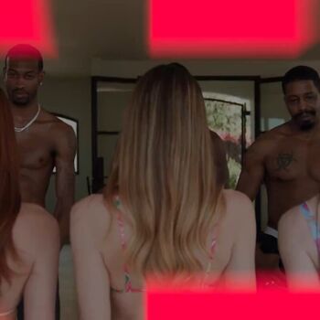 Vixen Media Group
