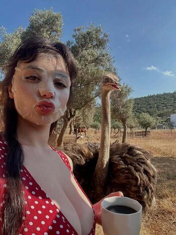 Zeliha Elgün